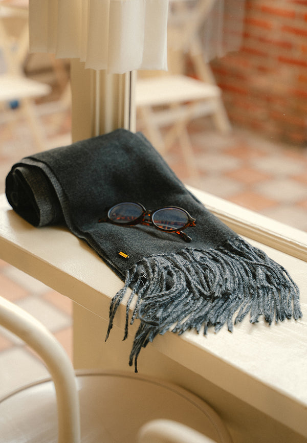 Denver Winter Travel Reversible Scarf